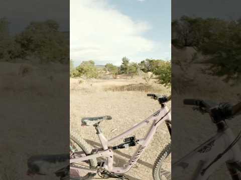 CANYON BIKES NEW SPECTRAL AL